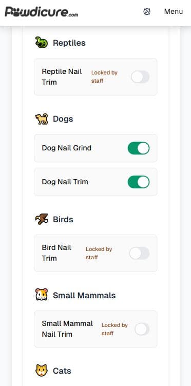 Services setup screen showing additional service options